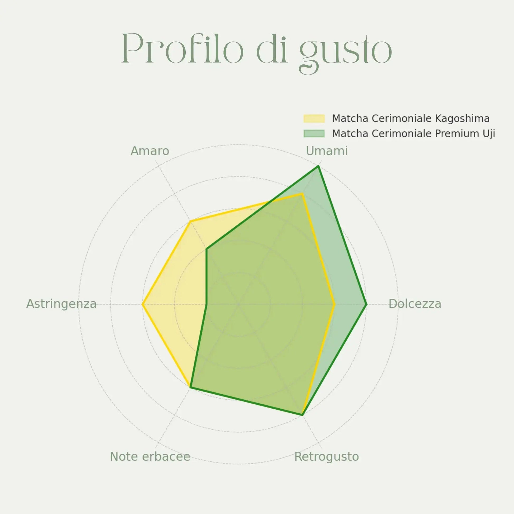Refill Matcha in Polvere Grado Cerimoniale PREMIUM - 30gr MatchaMo