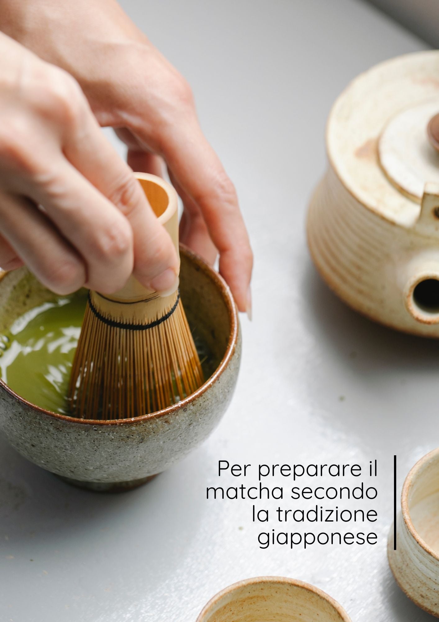 Frullino di Bambù "Chasen" per Matcha – 80 Setole MatchaMo