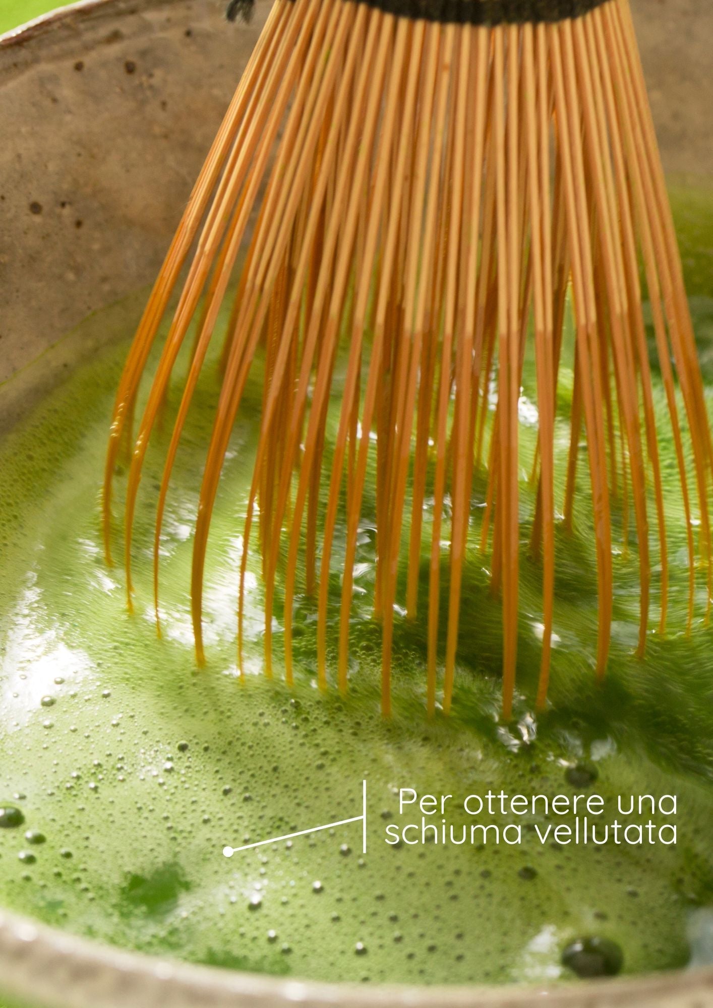 Frullino di Bambù "Chasen" per Matcha – 80 Setole MatchaMo