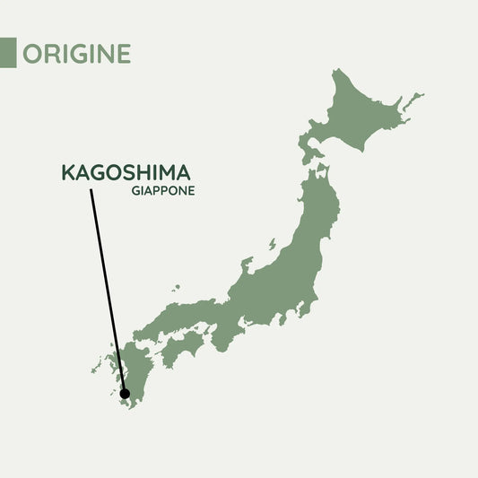 Matcha Cerimoniale Giapponese "Hisui" BIO di Kagoshima – 100g (Doypack) MatchaMo